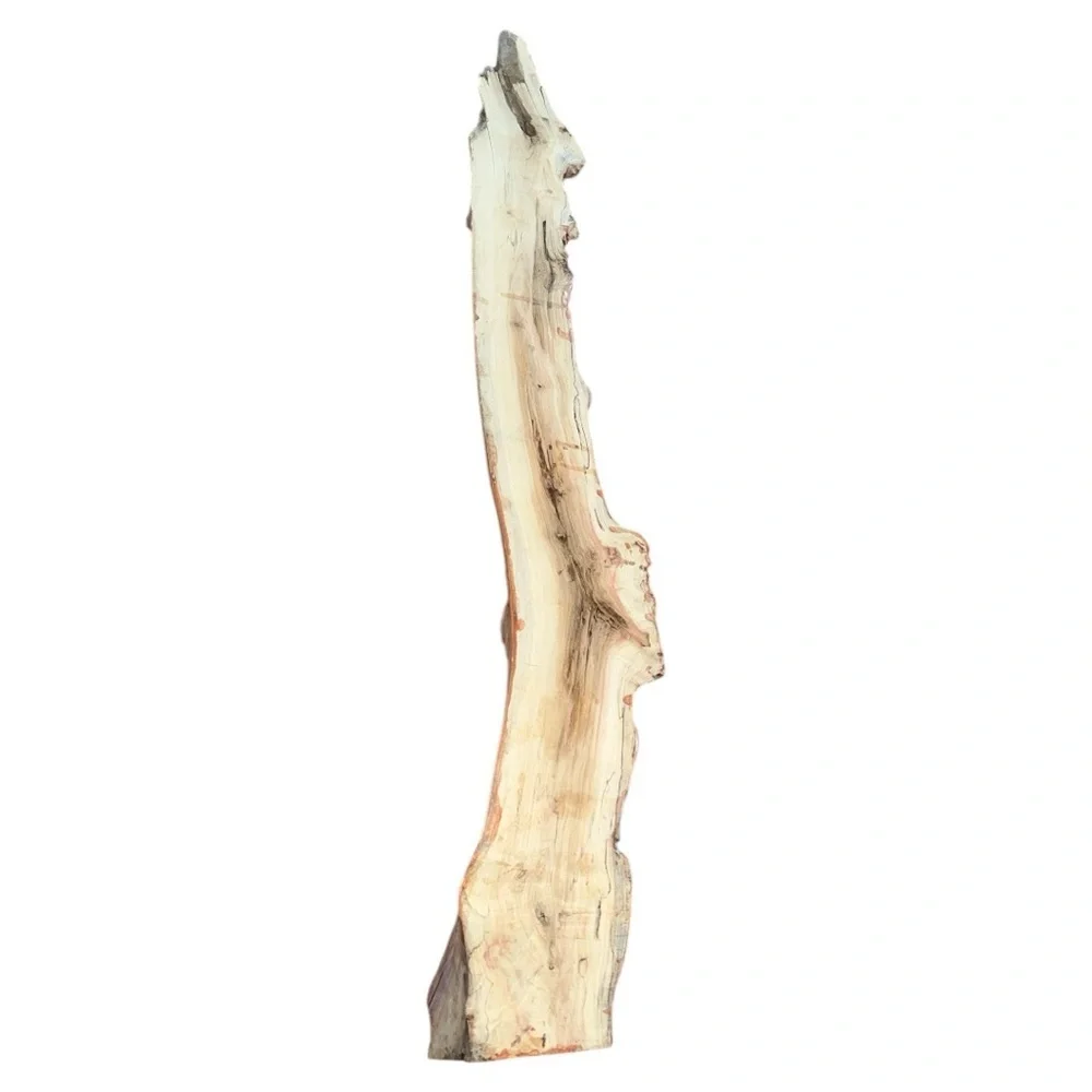Rustic Driftwood Wood Candle Holder with Gold Glass Votive Cups, Nature Decor